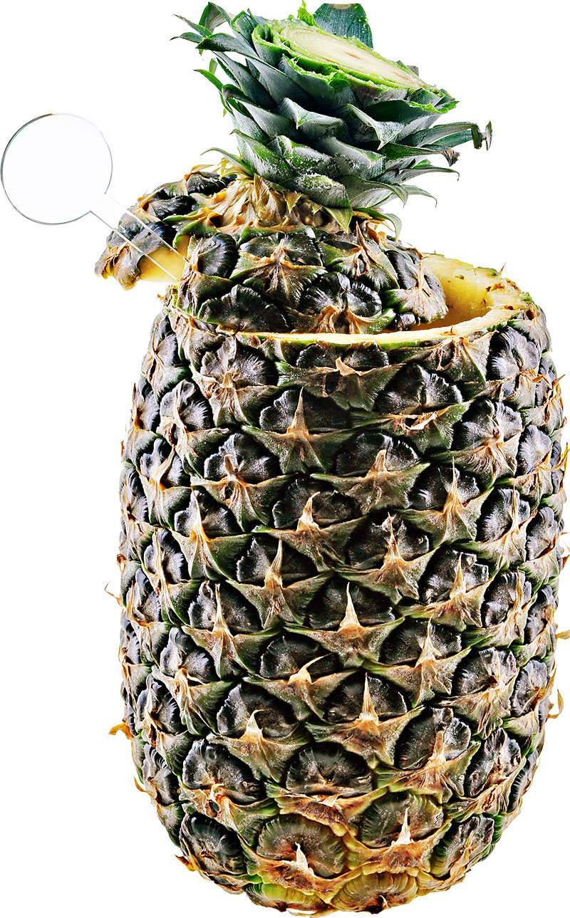 How to Make the Piña Colada